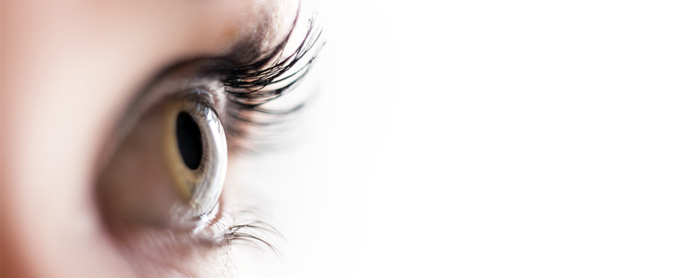 eyes